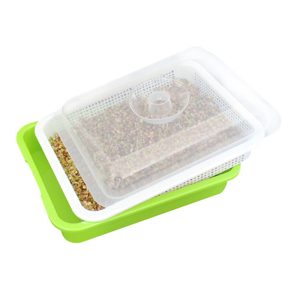 Insulation Tray Double Layer Encryption Seedling Tray Culture Beans Hydropinics Spourting Nursery Tray With Cover Storage Box