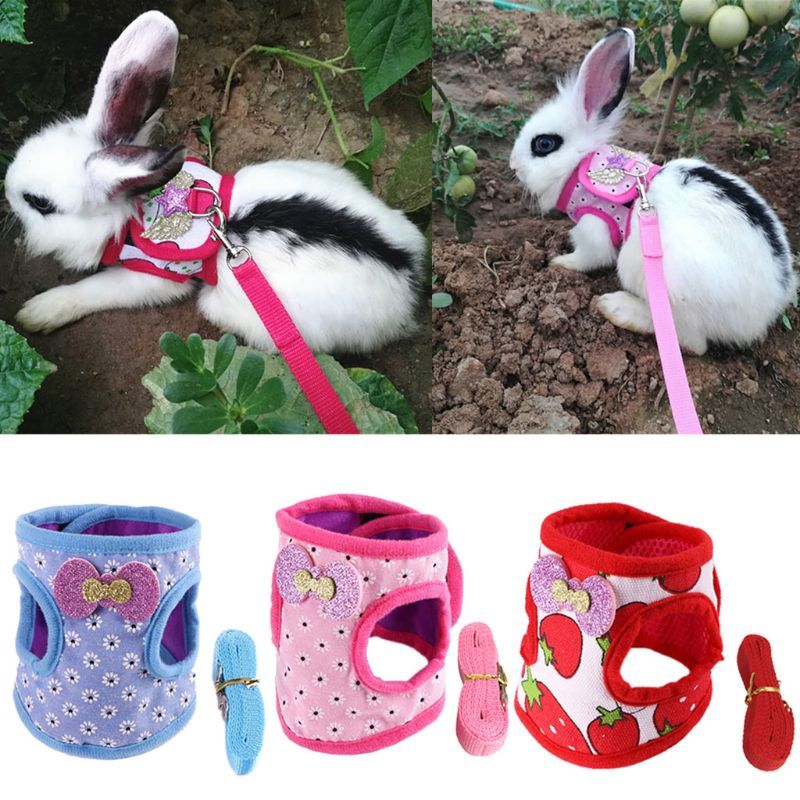 Rabbit Hamster Vest Harnas with Leiband Bunny Breastband Fret Work Touch