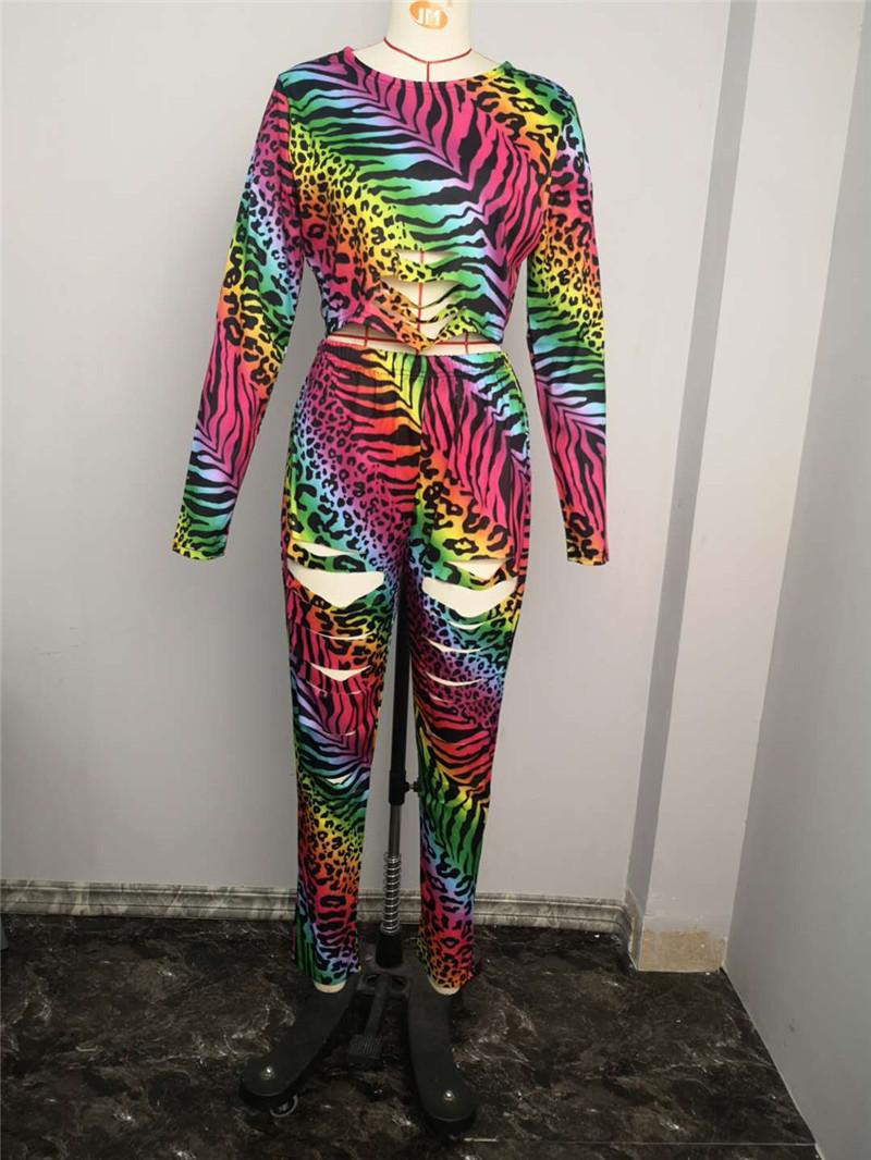 Leopard Print Two Piece Set Women Hollow Out Long Sleeve Crop Top High Waist Elastic Pants Suit Female Sexy Clubwear Tracksuit Women's Track