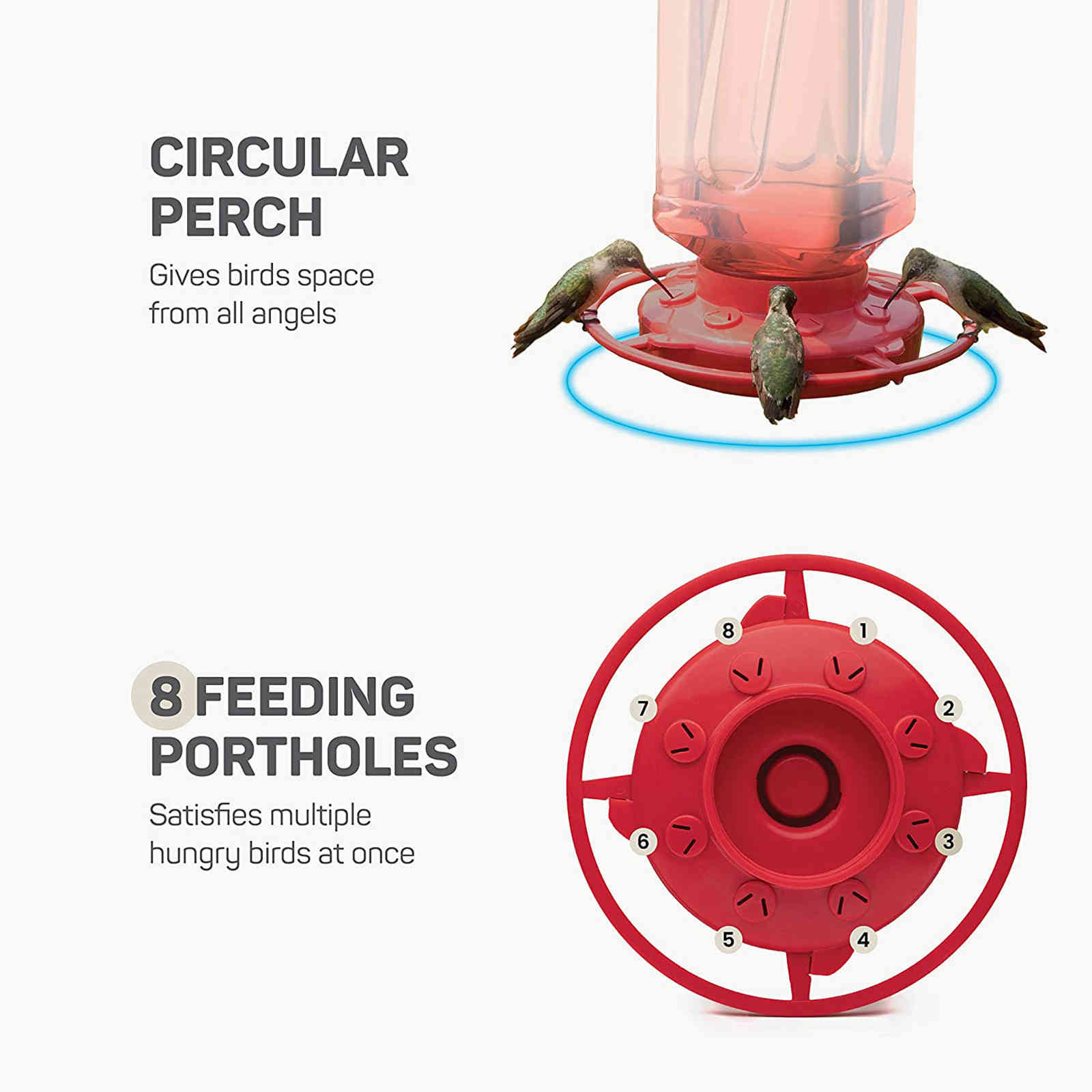 Plastic feeders hummingbird water bottle hanging hummingbird feeder garden in the open air Pet bird hook flower easyclean supplies