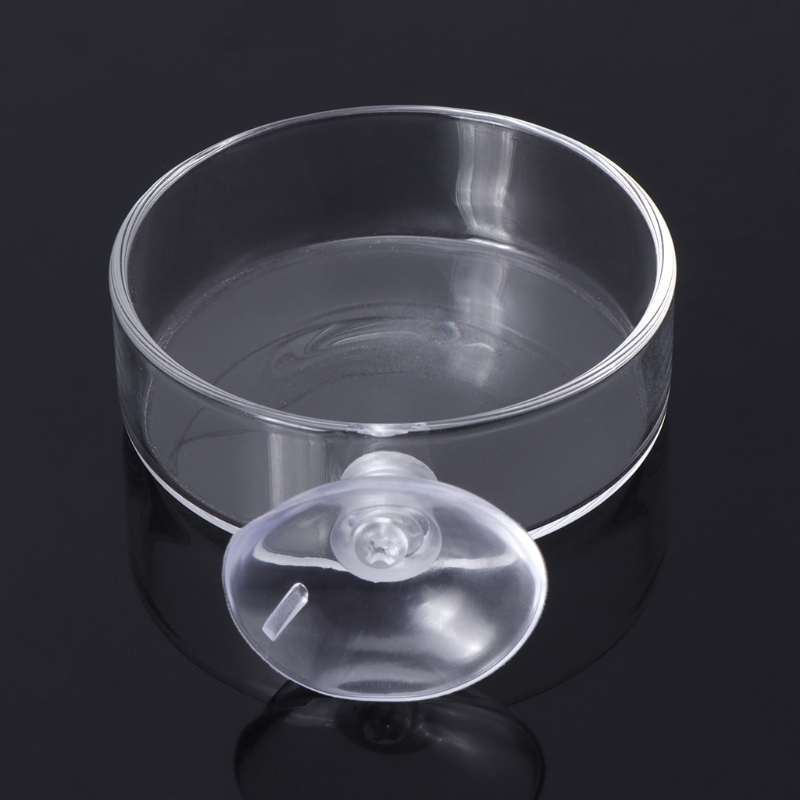 New arrival Aquarium Feeder Aquarium Garnalen Glass Voerbak Clear dish Load 40JA