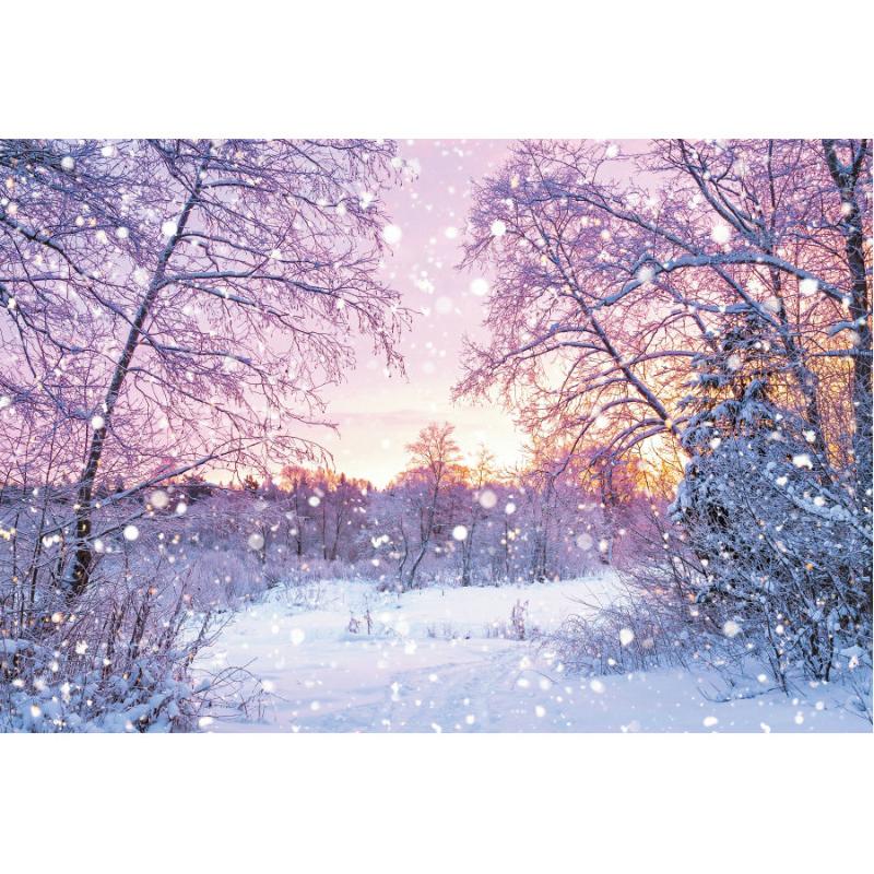 Party Decoration Christmas Backdrop Winter Forest Snow Scene Pography Background Year Xmas Po Booth Studio Props
Party Decoration Christmas Backdrop Winter Forest Snow Scene Pography Background Year Xmas Po Booth Studio Props