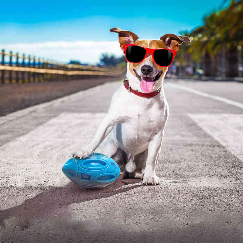Pet Supplies Dog Toys Rubber Sounding Rugby Bite-resistant Sound Dog Ball