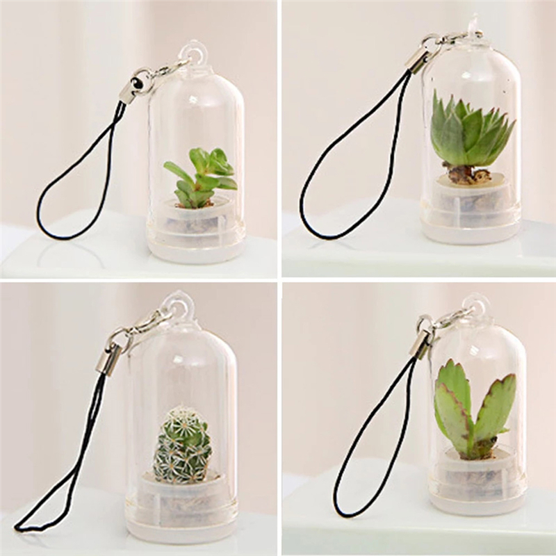 2PCs Random Mini Succulent Cactus Plant Keyring Charm Green Fleshy Plant Pendant Keychain with Glass Cover Craft Gifts for Women