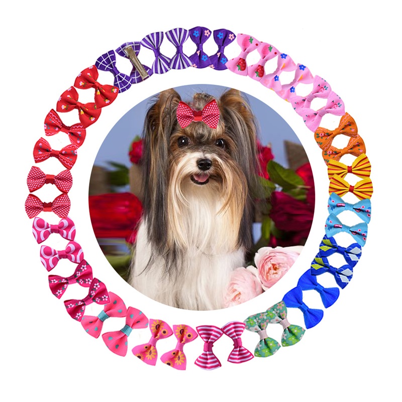 

Dog Grooming Bows with Rubber Bands Dogs Topknot Cute Pet Hair Clips Pets Cat Little Flower Bow best gifts 36 H1, Random colors