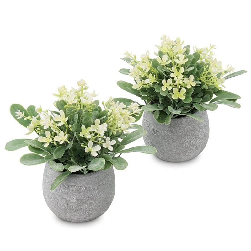 Decorative Flowers & Wreaths Est Fake Plants Eucalyptus Faux In Pots, 2 Pack Mini Potted Artificial Plants, And Greenery Leaves
Decorative Flowers & Wreaths Est Fake Plants Eucalyptus Faux In Pots, 2 Pack Mini Potted Artificial Plants, And Greenery Leaves