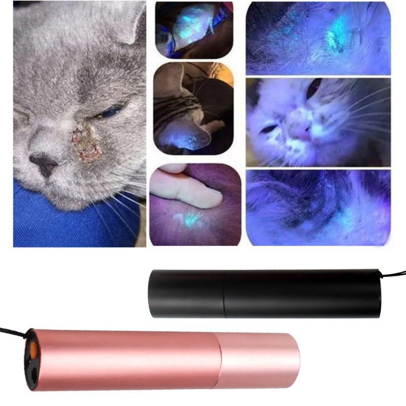 2 In 1 Funny Kitten Teaser Stick Cat Moss Detection Red Uv Light Pointer Usb Loadable Pet Toys