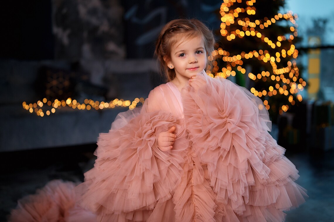 Pink Ruffles Flower Girls Dresses For Weddings Baby Party Prom Photoshoot Girl Dress Long Sleeve Birthday Gowns