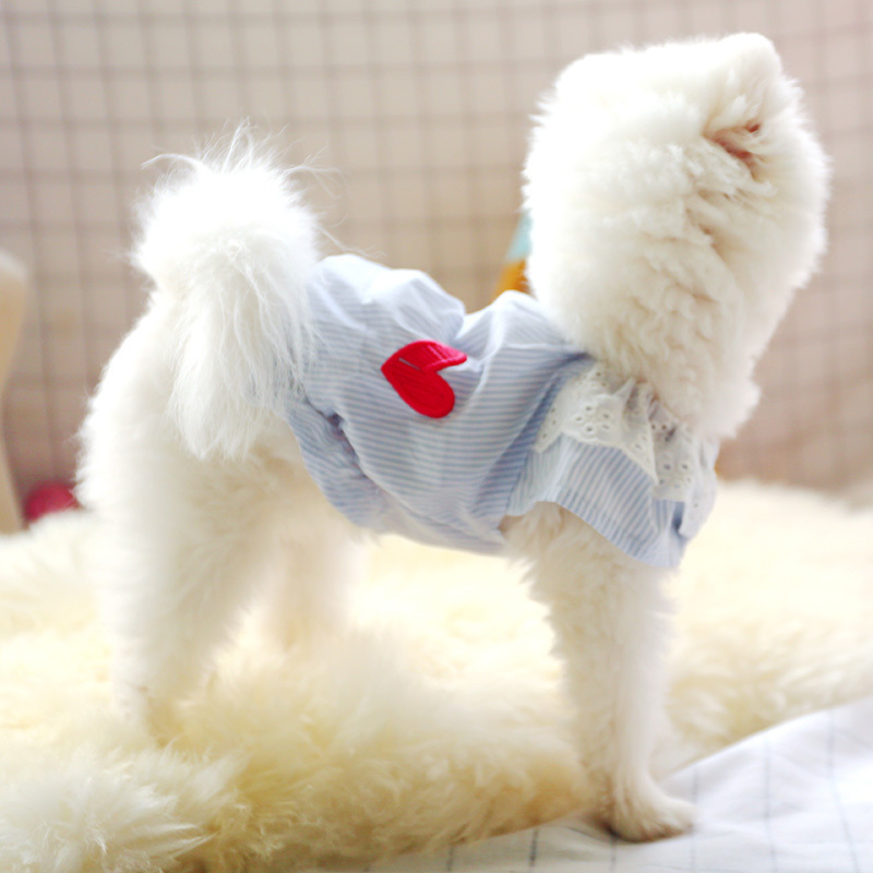Spirng Summer Dog Clothes Lace Doll Shirt Warm Clothes for Small Dogs Costumes Coat Jacket Puppy Shirt Dogs Pets Outfits T200710, Blue
Spirng Summer Dog Clothes Lace Doll Shirt Warm Clothes for Small Dogs Costumes Coat Jacket Puppy Shirt Dogs Pets Outfits T200710, Blue