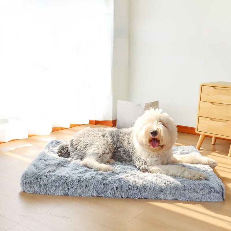 Cat Dog Kennel Bed Mat for all Seasons Summer and Winter Cat Bread Mats Litter Keeping Kennel Pet Supplies and Accessories
Cat Dog Kennel Bed Mat for all Seasons Summer and Winter Cat Bread Mats Litter Keeping Kennel Pet Supplies and Accessories