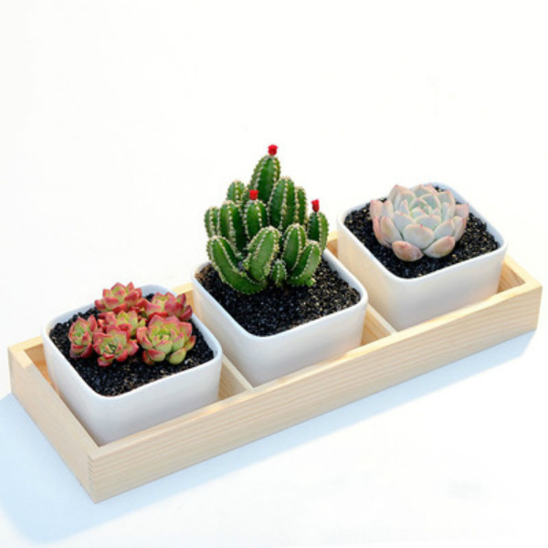 3 Grids Flower Pots Box Tray Wooden Succulent Plant Fleshy Flowerpot Containers Home Decor RRD6905 Free shipping