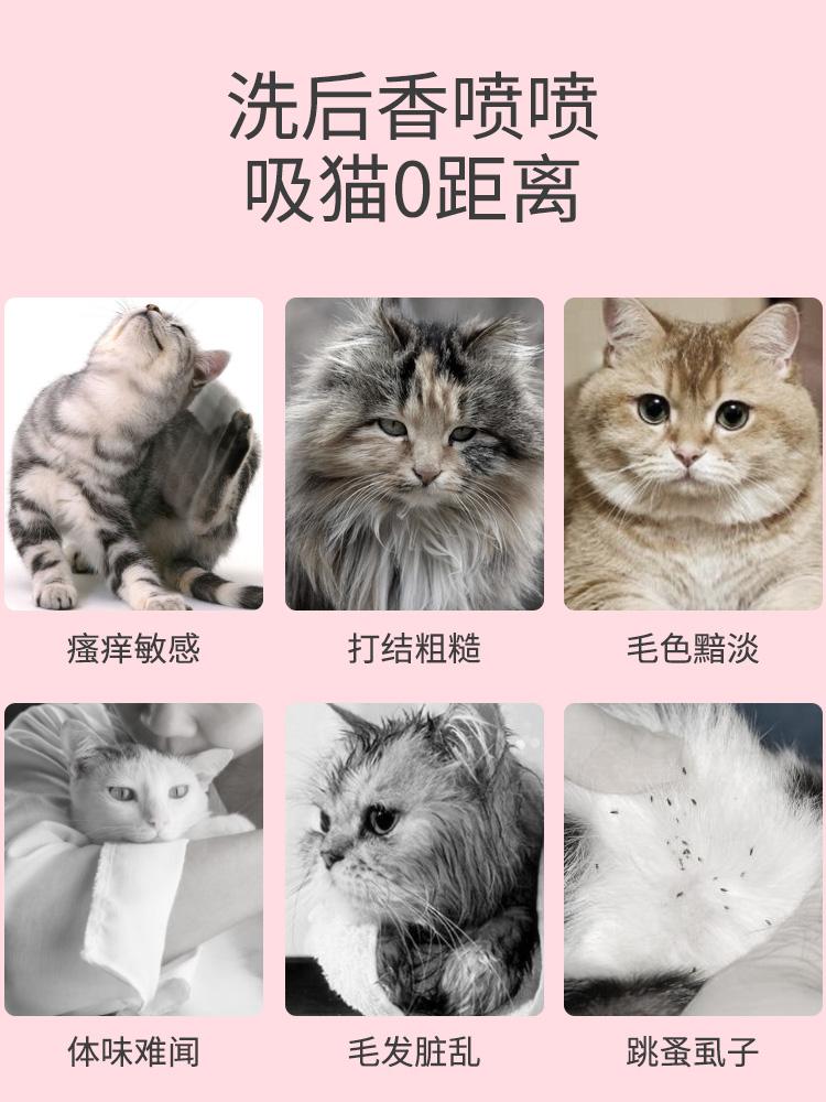 Cat Shower Gel Bath Dedicated Mite Sterilization Pet Kittens British Shorthair Supplies Hairless Flea Removal Shampoo Dog Travel & Outdoors
Cat Shower Gel Bath Dedicated Mite Sterilization Pet Kittens British Shorthair Supplies Hairless Flea Removal Shampoo Dog Travel & Outdoors