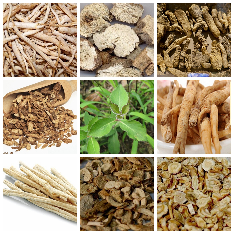100 pcs seeds / bag Radix Adenophorae Ginseng Nansha Ginseng Home Garden Vegetable Plant Good Taste Nutritious Flower Pots Planters Organic Non-GMO Delicious Tasty
100 pcs seeds / bag Radix Adenophorae Ginseng Nansha Ginseng Home Garden Vegetable Plant Good Taste Nutritious Flower Pots Planters Organic Non-GMO Delicious Tasty