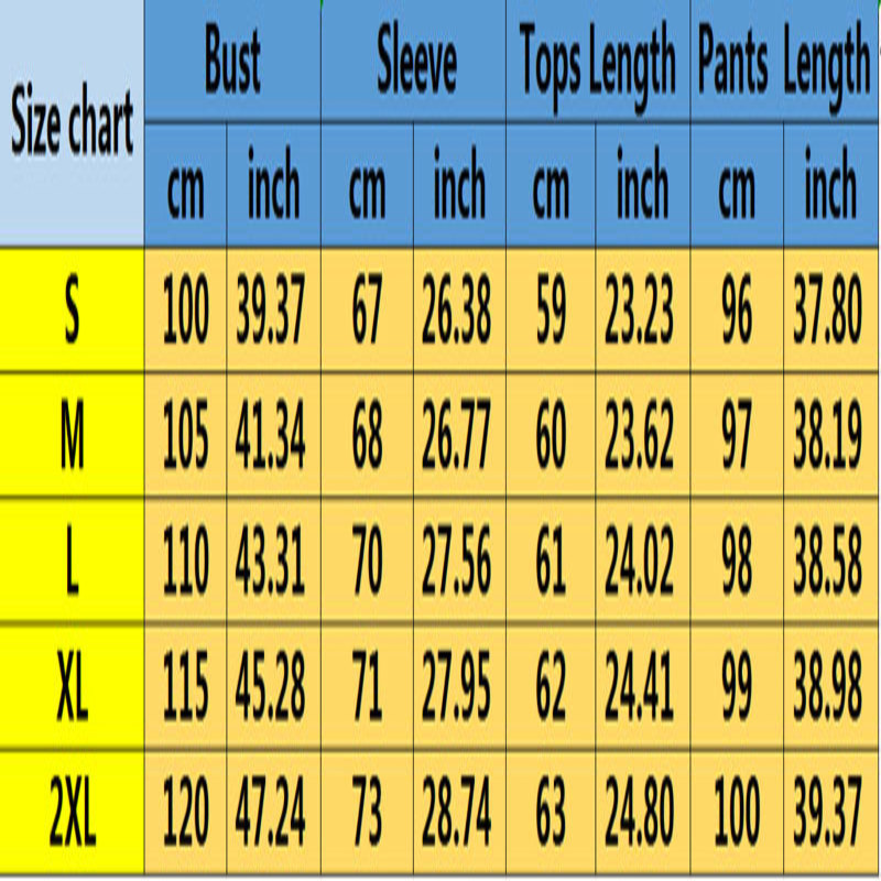 2 Piece Outfits for Women Drawstring Pants and Long Sleeve Top Fashion Leopard Print Plus Size Lounge Wear Casual Tracksuit 210515