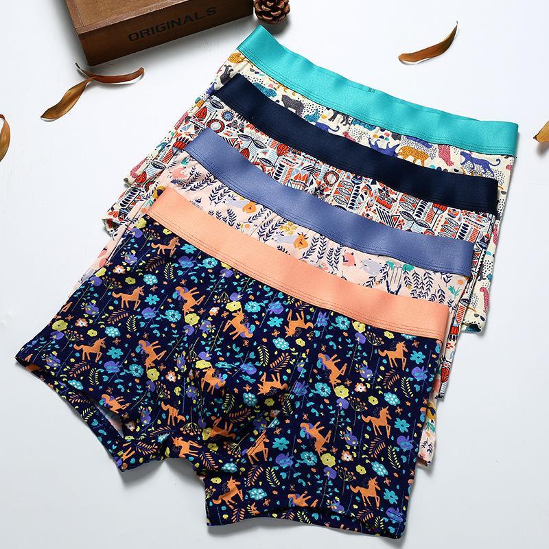 Underpants Cotton P… - image