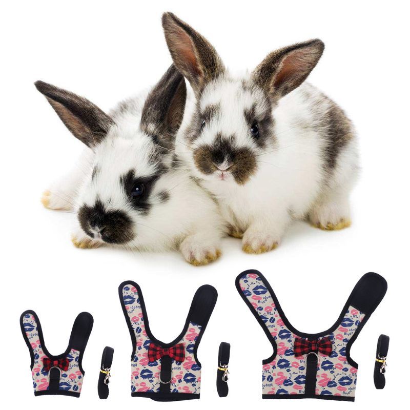 Outdoor Rabbit Harness Belt Set Small Pet Vest Doek Hiking Lead