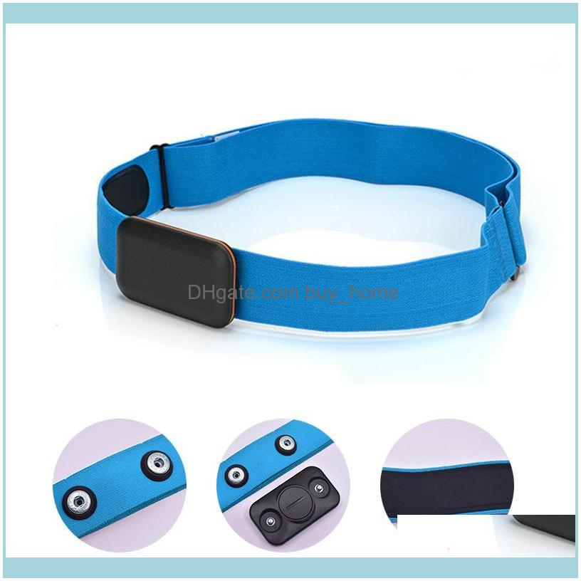 Aessories Equipments Supplies Sports & Outdoorsaessories Heart Rate Monitor Chest Strap Bluetooth 4.0 Fitness Sensor Ant Wrist Compatible Wi
Aessories Equipments Supplies Sports & Outdoorsaessories Heart Rate Monitor Chest Strap Bluetooth 4.0 Fitness Sensor Ant Wrist Compatible Wi