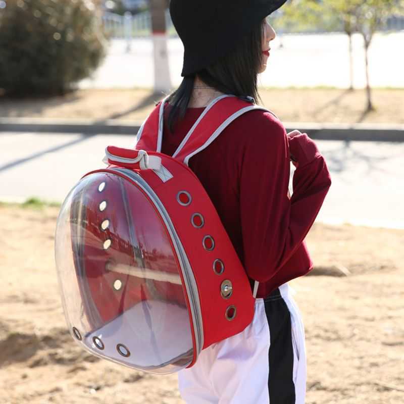 Pet Parrot Bird Travel Bag Space Capsule Transparent Backpack Breathable 360 degrees Sightseeing 210916