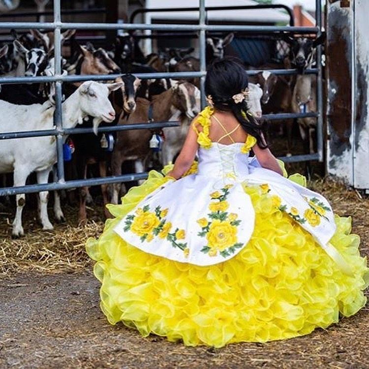Modest Mexican daffodial Mini Pageant Quinceanera Dresses for Little Girls Halter 3D Floral Flowers Lace Flower Girl First Communion Dress