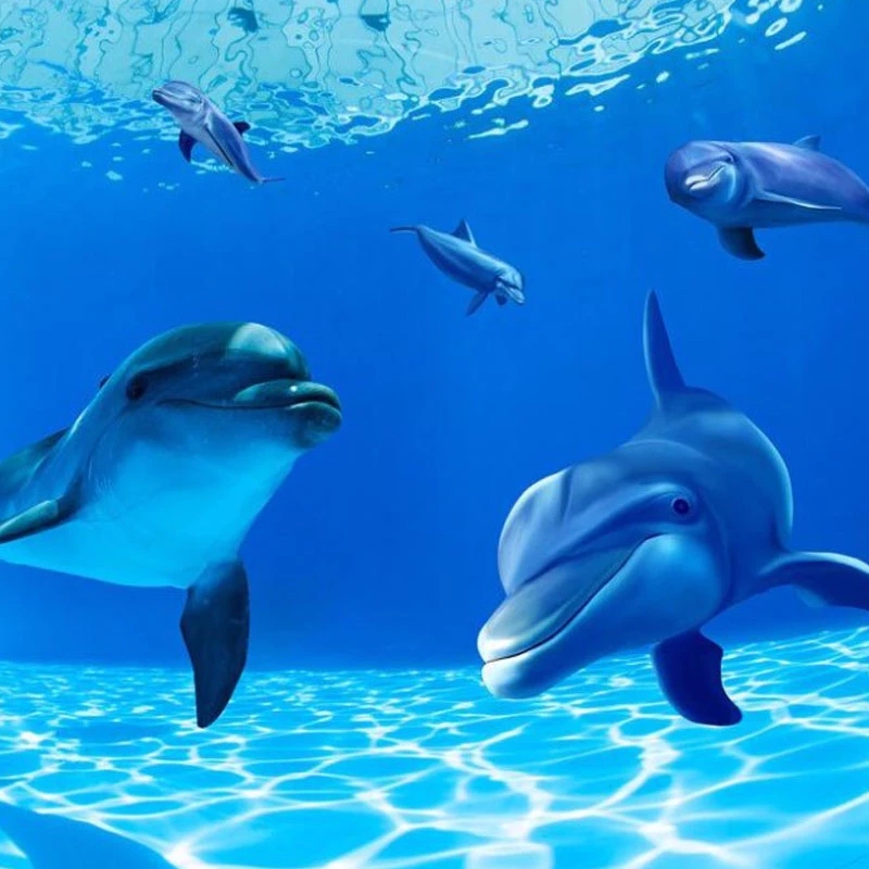 Custom Photo Personality Ceiling Dolphin Mural Wallpaper Bedroom Sofa Backdrop Wall Painting Waterproof