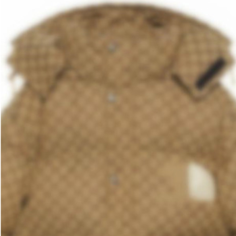 Men Brown Canvas Padded Down Jacket Fashion Designer Women Zipper Pocket Nylon Coat Hood Drawstring Letter Fabirc Winter Warm Outwear nfg, B-ggc3-khaki
Men Brown Canvas Padded Down Jacket Fashion Designer Women Zipper Pocket Nylon Coat Hood Drawstring Letter Fabirc Winter Warm Outwear nfg, B-ggc3-khaki