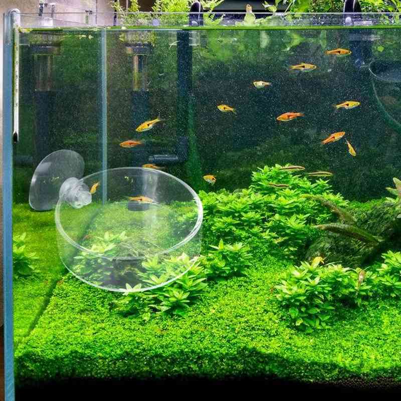New arrival Aquarium Feeder Aquarium Garnalen Glass Voerbak Clear dish Load 40JA