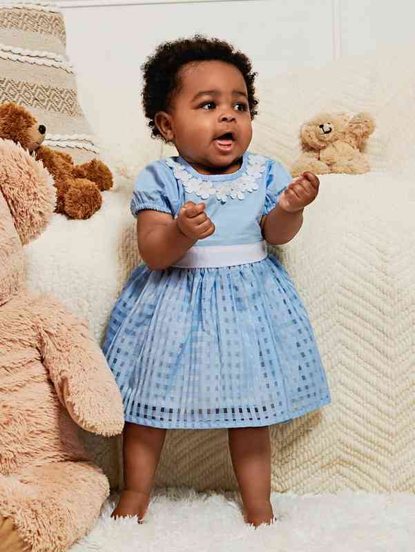 Baby Puff Sleeve Zip Back Appliques Dress SHE