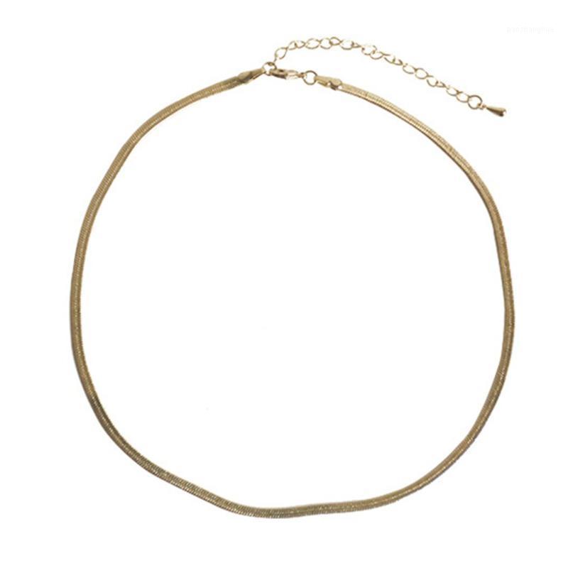 Chains Individual Short Design Necklace Street Cool Fashion Clavicle Necklaces Snake Choker Chain Jewelry Accessories, Silver
Chains Individual Short Design Necklace Street Cool Fashion Clavicle Necklaces Snake Choker Chain Jewelry Accessories, Silver