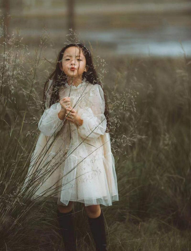 Girl's Dresses Fairy Vintage Girl Princess Dress Tulle Children Puff Sleeve Wedding Party Birthday Tutu Long Kids Clothes 2 To 7, As picture
Girl's Dresses Fairy Vintage Girl Princess Dress Tulle Children Puff Sleeve Wedding Party Birthday Tutu Long Kids Clothes 2 To 7, As picture