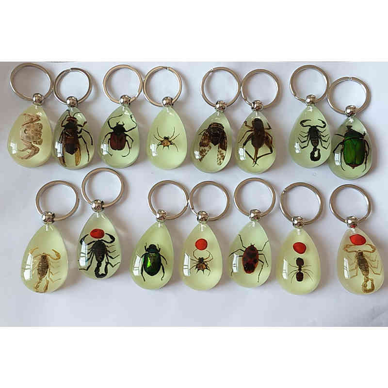 12pcs/set Luminous Insect Epoxy Keychain Amber Water Drop Key Ring Mixed Batch Animal Jewelry Accessories
12pcs/set Luminous Insect Epoxy Keychain Amber Water Drop Key Ring Mixed Batch Animal Jewelry Accessories