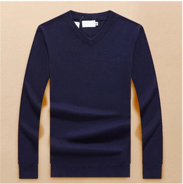 new Fashion V-neck sweater for men's fashion long sleeve Crocodile embroidery sweaters autumn loose pullover sweaters for Men Sweaters