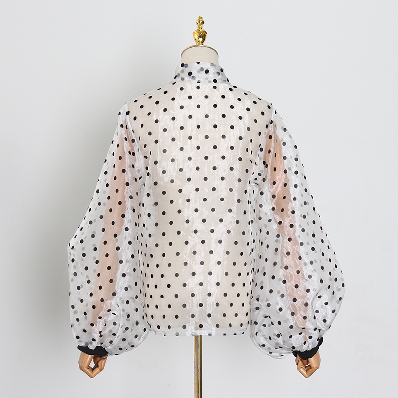 TWOTWINSTYLE Vintage Polka Dot Long Puff Sleeve Womens Tops and Blouses Plus Size Sheer Shirts Summer Clothes Ladies Korean 210317