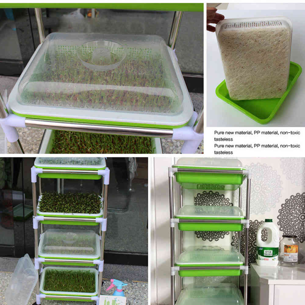 Insulation Tray Double Layer Encryption Seedling Tray Culture Beans Hydropinics Spourting Nursery Tray With Cover Storage Box