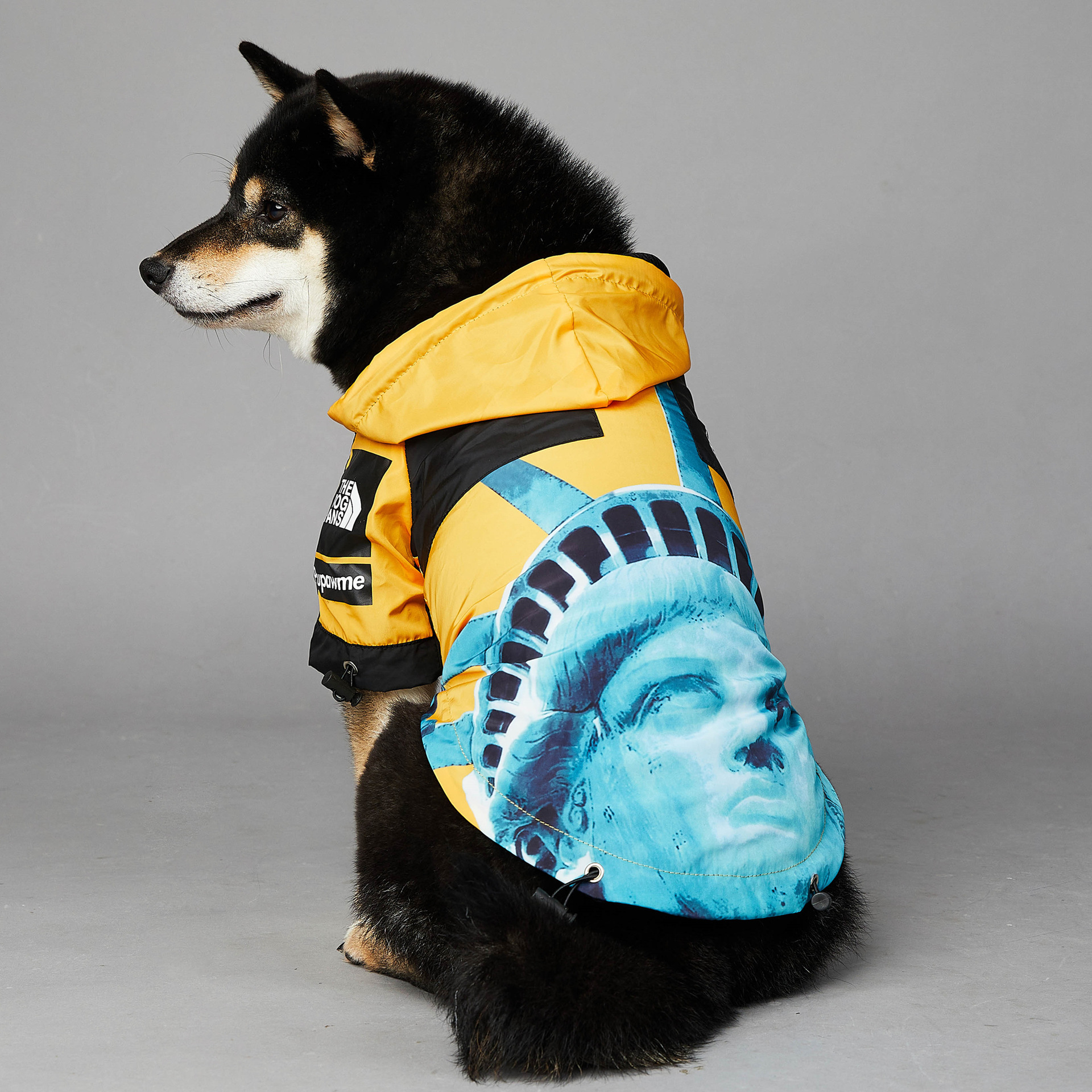 New lauching Pet statue style Clothes Dog Apparel Raincoat Clothing For Small Big French Bulldog Pug Dogs Jacket Hoodies Windbreaker, Black statue
New lauching Pet statue style Clothes Dog Apparel Raincoat Clothing For Small Big French Bulldog Pug Dogs Jacket Hoodies Windbreaker, Black statue