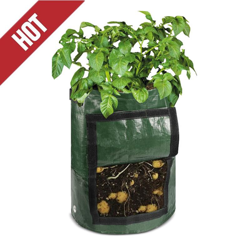 3pcs/set Grow Bags With Window Breathable Potato Carrots Handles And Flap, Thickened Heavy Duty Plant Planters & Pots
3pcs/set Grow Bags With Window Breathable Potato Carrots Handles And Flap, Thickened Heavy Duty Plant Planters & Pots