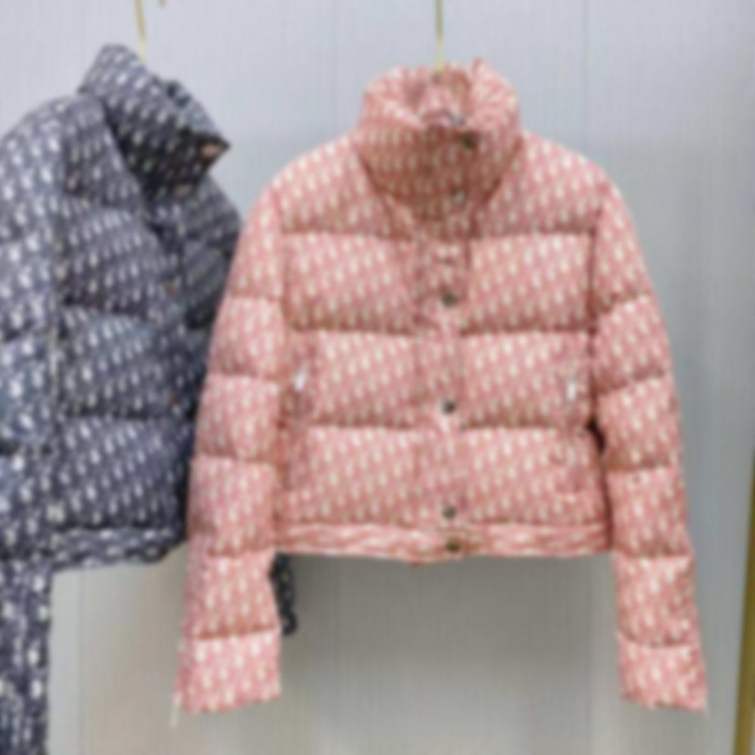 21ss Winter womens Down jacket designers clothes woman Jackets Long Sleeve Oblique Letter Printed Men Women high quality Fashion Clothing, Customize
21ss Winter womens Down jacket designers clothes woman Jackets Long Sleeve Oblique Letter Printed Men Women high quality Fashion Clothing, Customize