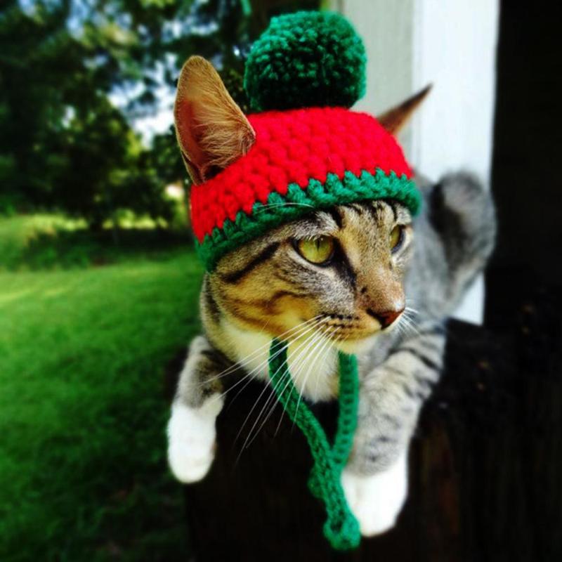 Cat Costumes Dog Knitted Hat Puppy Animal Christmas Xmas Knit With Balls Cap Halloween Cosplay Supplie Headband
Cat Costumes Dog Knitted Hat Puppy Animal Christmas Xmas Knit With Balls Cap Halloween Cosplay Supplie Headband