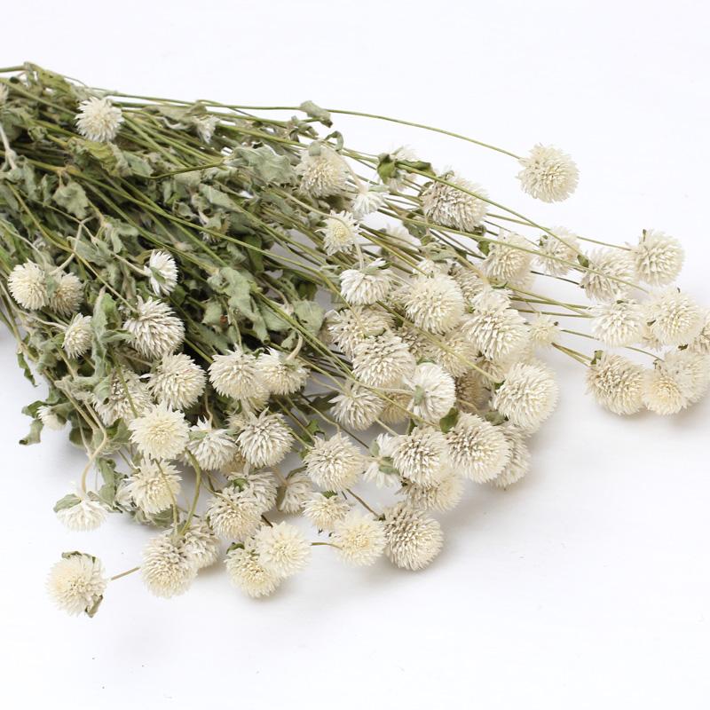 Decorative Flowers & Wreaths 45 Head Globe Amaranth Dried Flower Bouquet Rose Pink Purple Gomphrena Globosa Pressed For Home Wedding Party D