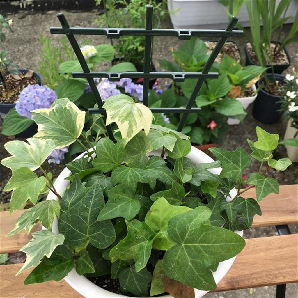 Diy plastic agricultural plant rack climbing plant flower fixed plant growth flower decoration vegetables trellises support 1 pc