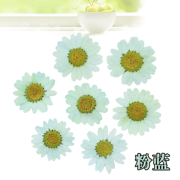 120pcs Pressed Press Dried Daisy Dry Flower Plants For Epoxy Resin Pendant Necklace Jewelry Making Craft DIY Accessories 210317
120pcs Pressed Press Dried Daisy Dry Flower Plants For Epoxy Resin Pendant Necklace Jewelry Making Craft DIY Accessories 210317