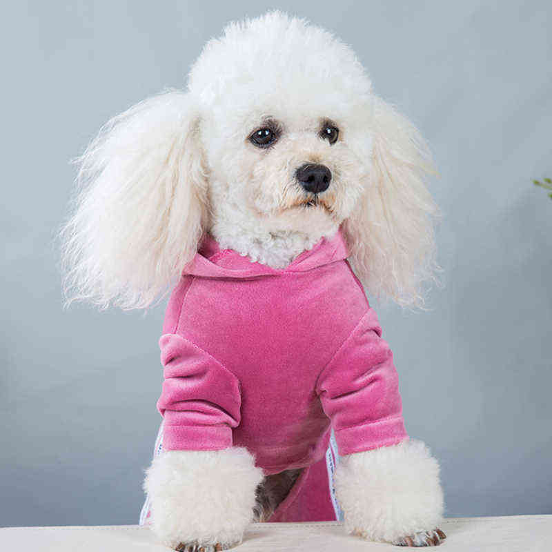 Fashion Letter Pet Dog Clothes Dogs Cats Coat Hoodies Sweatshirt Puppy Clothing For Yorkies Pets Bodysuit Overalls 220125