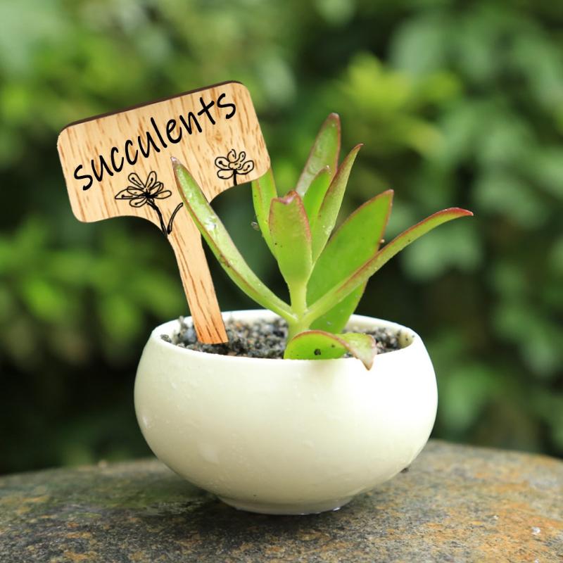 50Pcs Bamboo Plant Labels Eco-Friendly T-Type Wooden Sign Tag Home Garden Flower Marker For Decoration Ornaments Decorations
50Pcs Bamboo Plant Labels Eco-Friendly T-Type Wooden Sign Tag Home Garden Flower Marker For Decoration Ornaments Decorations