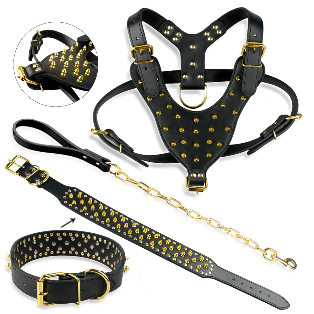 Gold Spikes Studded Leather Dog Pet Pitbull Harness Studded Collar Chain Leash Set for Large Dogs
Gold Spikes Studded Leather Dog Pet Pitbull Harness Studded Collar Chain Leash Set for Large Dogs