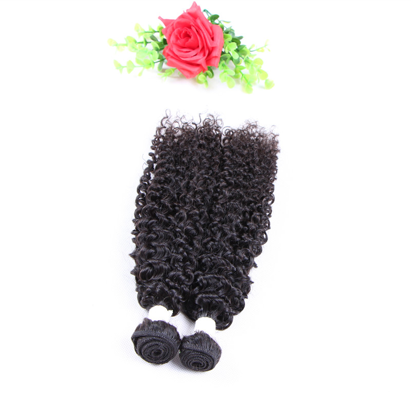unprocessed human hair weaves virgin brazilian hair bundles jerry curly wefts 830inch peruvian indian malaysian mongolian extensions
