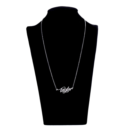 Taylor Personalized Name Necklace for Women Stainless Steel Nameplate Necklaces - 18K Gold Plated Minimalist Jewelry Gift for Her