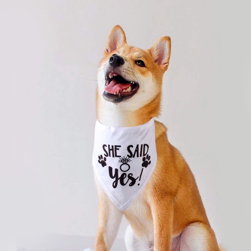 Dog Wedding Bandana Married Commitment Pet Triangle Sleeves Shawl Necklace Photo