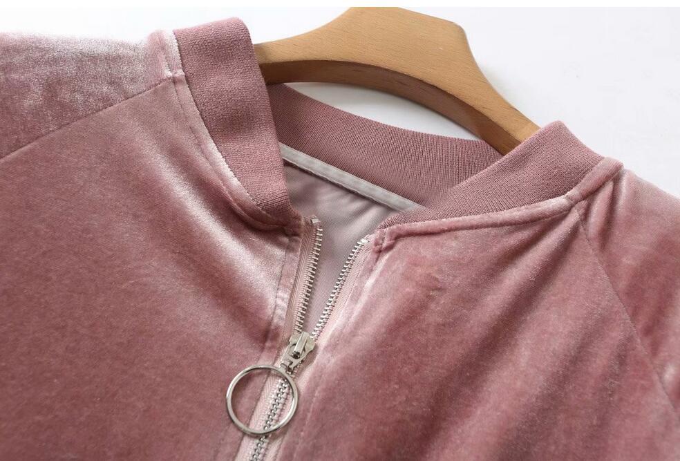 Spring And Autumn Letter Embroidery Velvet Suit Set Women Two-piece Female Pant Women's Sports Suits Tracksuits