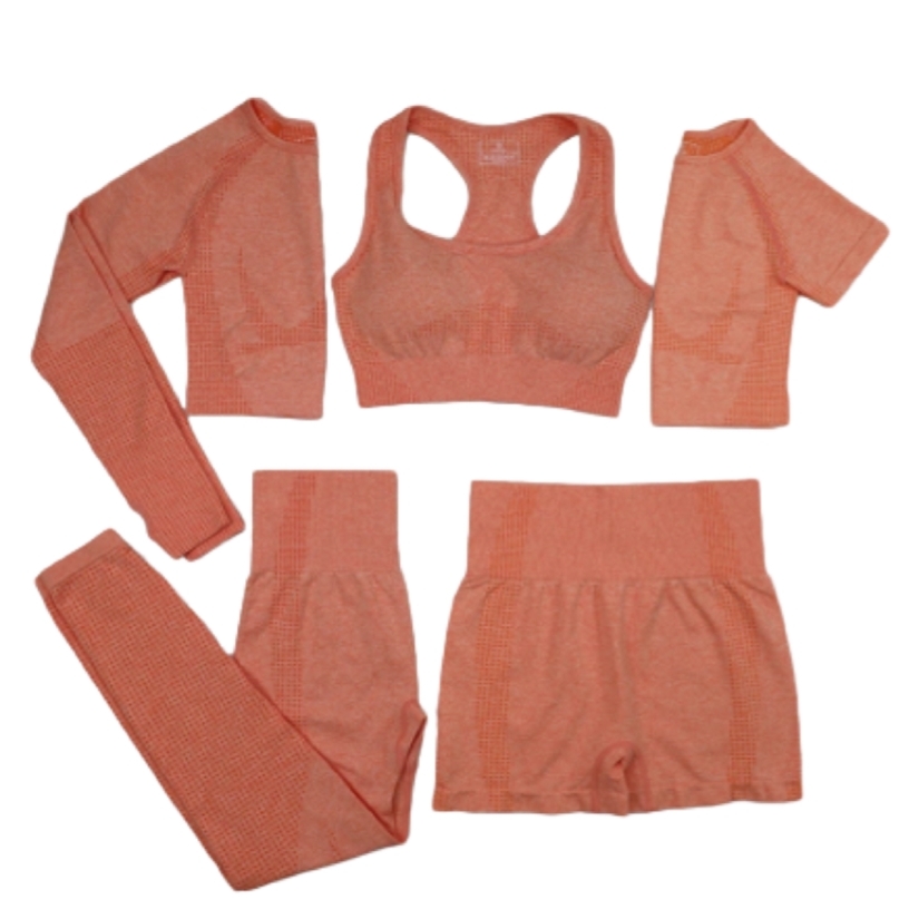 5 PC Seamless yoga set Fitness Sports Suits GYM Clothing Yoga T-Shirts+High Waist leggings+Bra+shorts Workout sets 211230, Gray set
5 PC Seamless yoga set Fitness Sports Suits GYM Clothing Yoga T-Shirts+High Waist leggings+Bra+shorts Workout sets 211230, Gray set