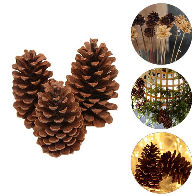 Christmas Decorations 12PcS Pine Cones Pendant Tree Hanging Decoration Shooting Props Ornaments 2-15cm DIY Dried Flower Cone Party
Christmas Decorations 12PcS Pine Cones Pendant Tree Hanging Decoration Shooting Props Ornaments 2-15cm DIY Dried Flower Cone Party