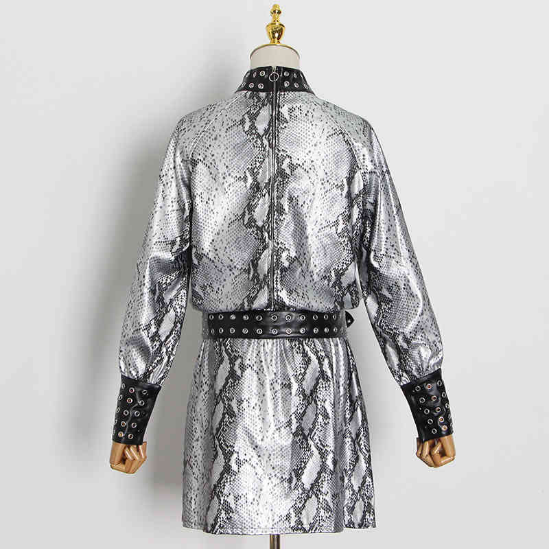 Streetwear Printed Women Dress Stand Collar Long Sleeve Hollow Out Casual Dresses Female Fashion Clothing 210520